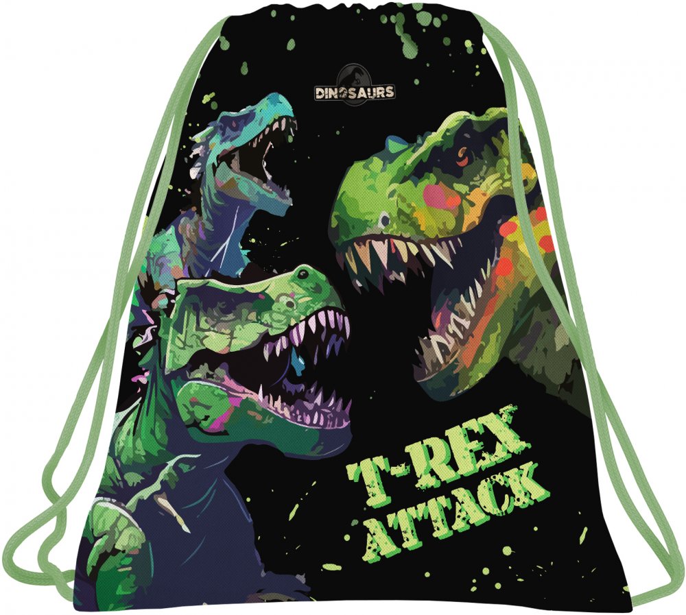 Worek na buty Derform Dinozaur 20, 41x35cm