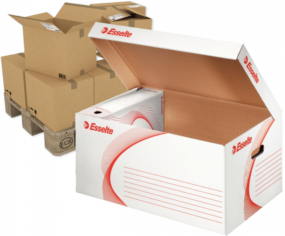 150x Pudło archiwizacyjne zbiorcze Esselte, 550mm, do 5 pudeł 100mm, otwierane od góry, biały