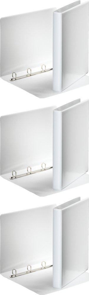 3x Segregator prezentacyjny Esselte Panorama, A4, szerokość grzbietu 38mm, 180 kartek, 4 ringi, biały