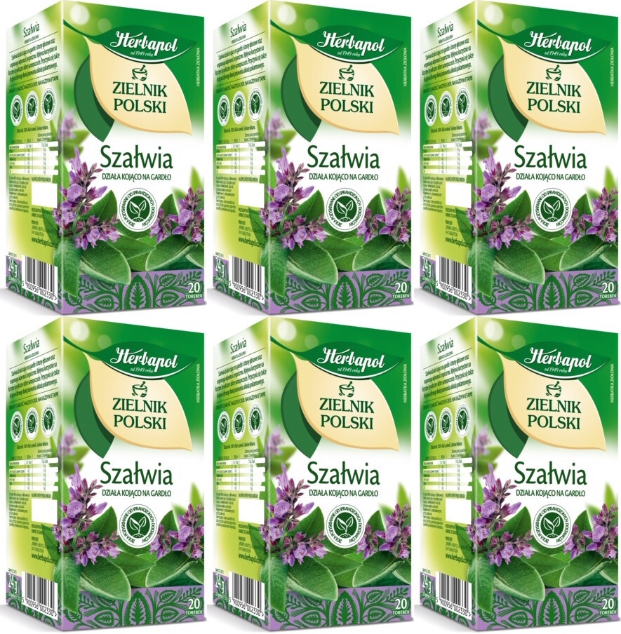 6x Herbata ziołowa w torebkach Herbapol, Zielnik Polski, szałwia, 20 sztuk x 1.2g
