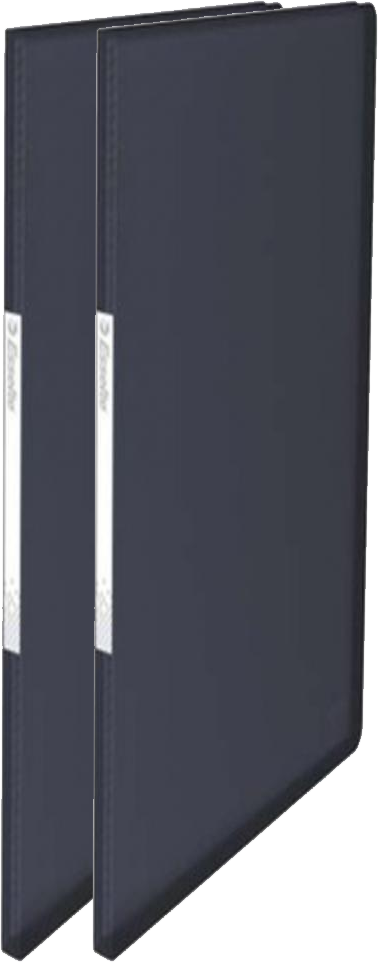 2x Album ofertowy Esselte Vivida, A4, 20 koszulek, czarny