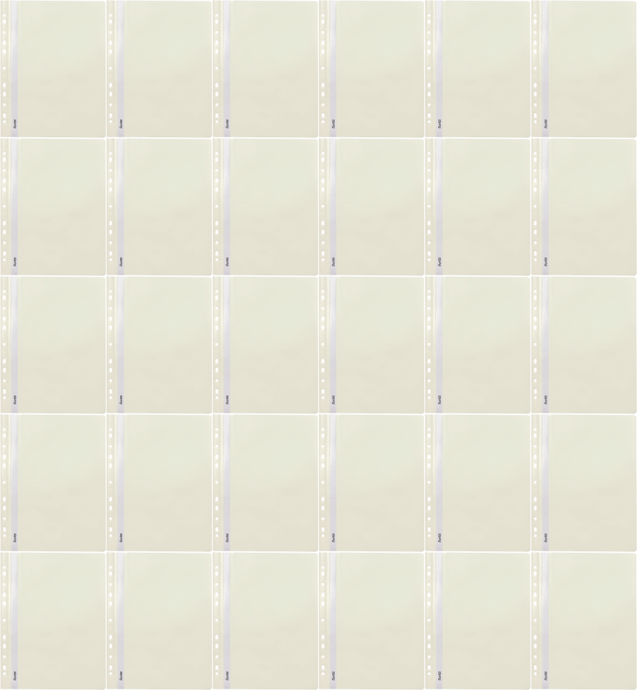 75x Skoroszyt plastikowy oczkowy Bantex Budget EVO, A4, do 200 kartek, biały