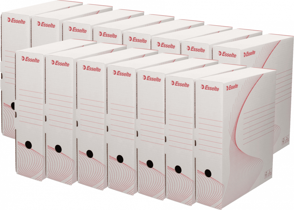 15x Pudło archiwizacyjne Esselte na segregatory, 100mm, biały