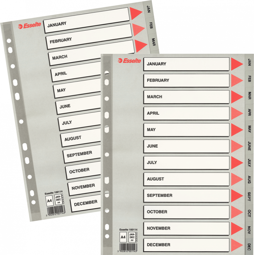 2x Przekładki do segregatora Esselte, plastikowe, indeksy miesięczne, A4, 12 kart, szary