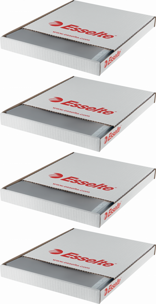 4x Koszulki krystaliczne Esselte, A4, 55μm, 100 sztuk, transparentny