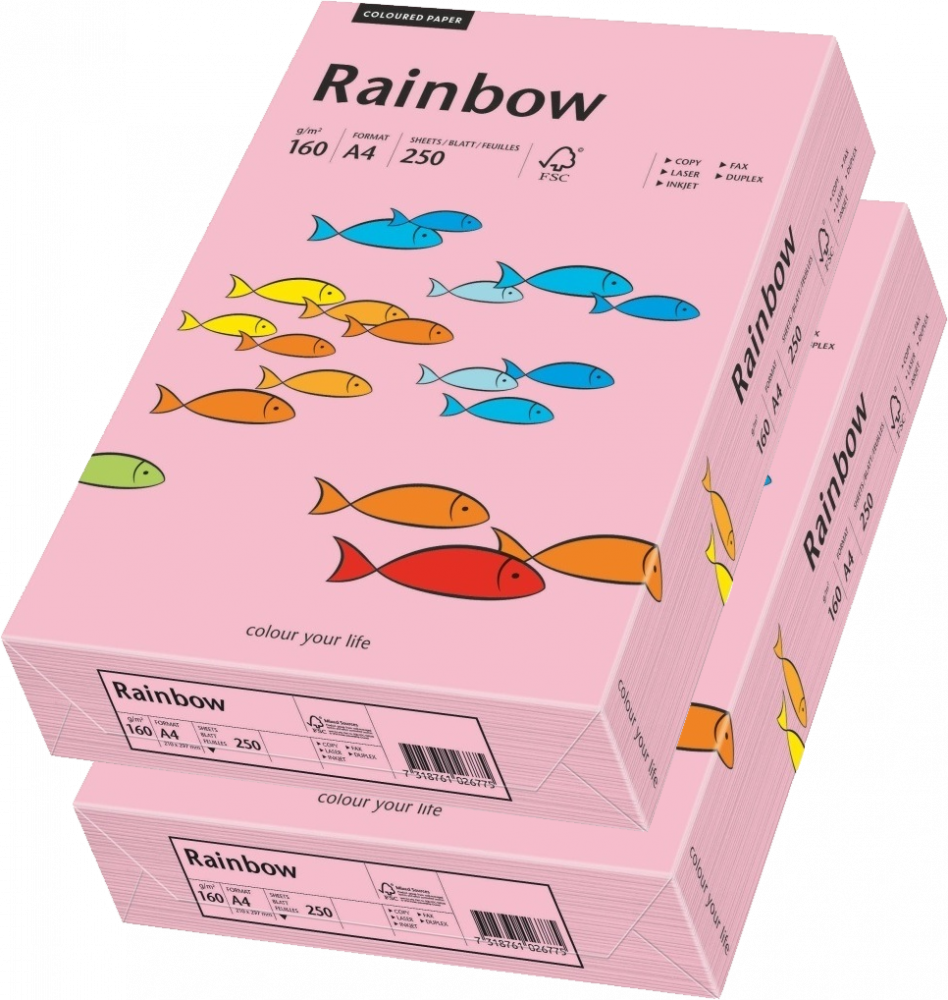 2x Papier ksero ekologiczny Rainbow, A4, 160g/m2, 250 arkuszy, różowy (R55)