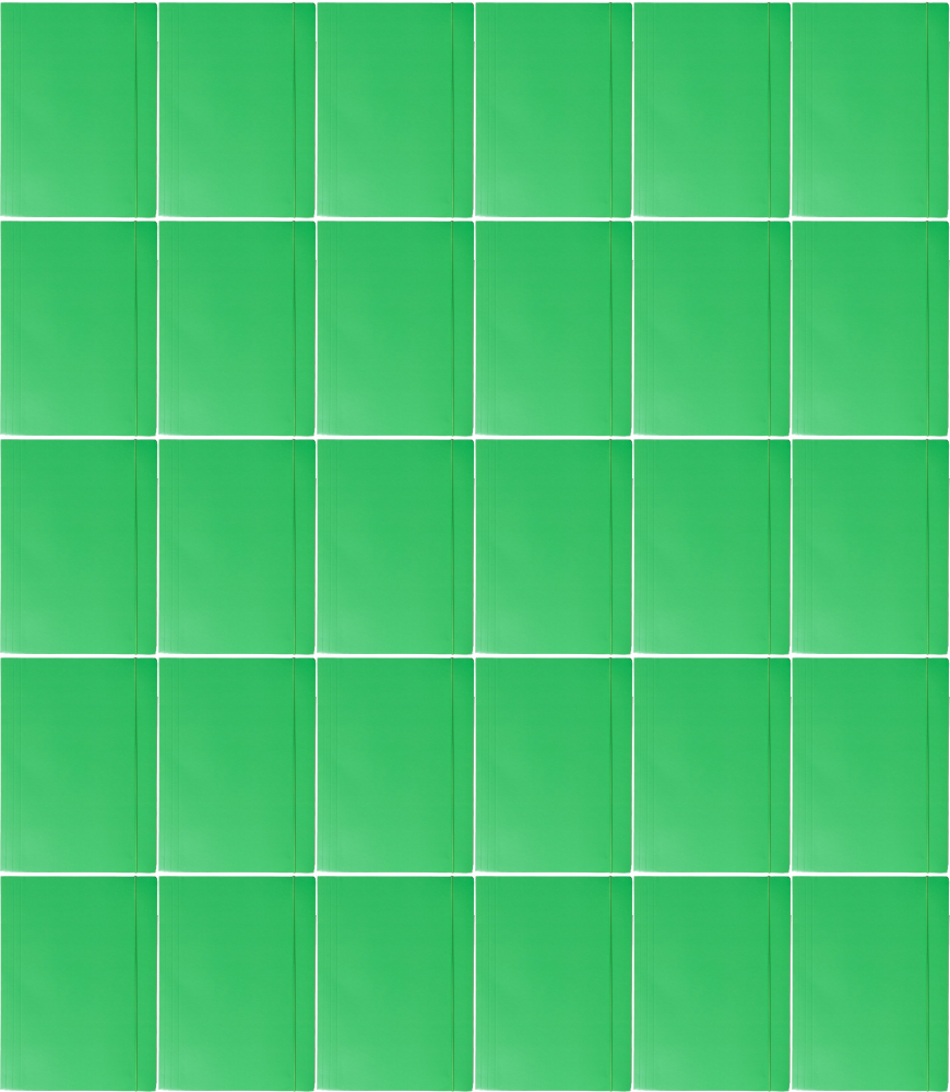 75x Teczka kartonowa z gumką Barbara, lakierowana, A4, 400g, zielony