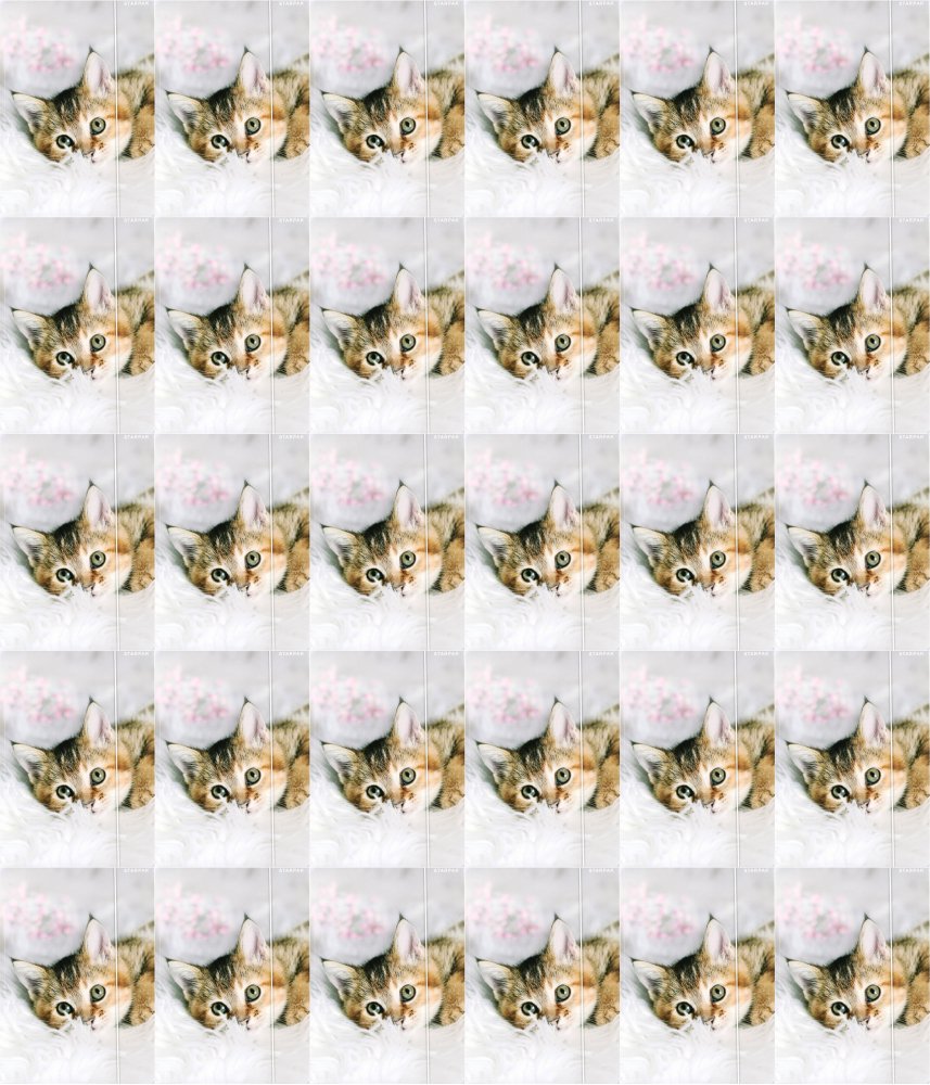 30x Teczka z gumką Starpak Kotki, A4, mix wzorów