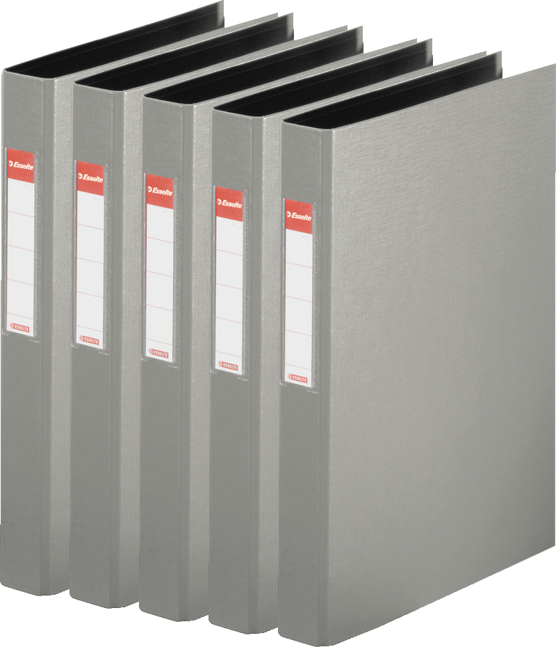 5x Segregator Esselte Vivida, A4, szerokość grzbietu 42mm, do 190 kartek, 2 ringi, szary