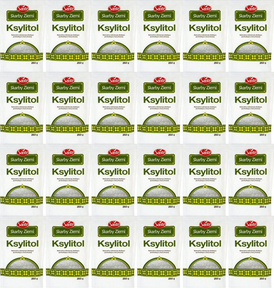 24x Ksylitol Sante, 250g