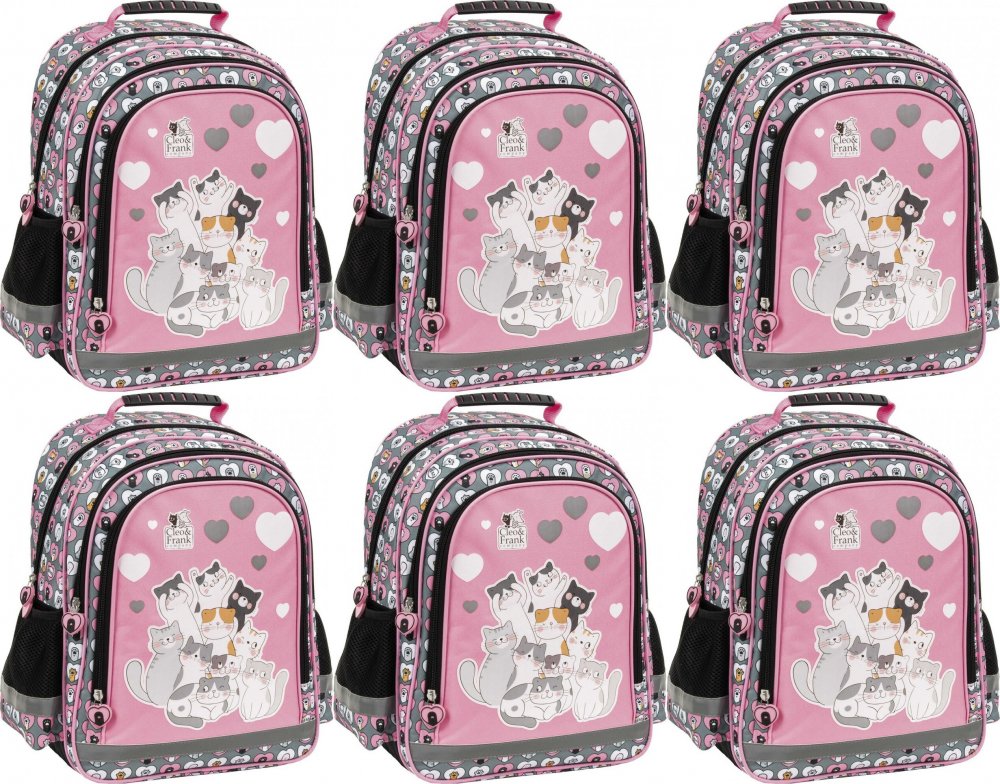 6x Plecak szkolny Derform 15 B Cleo&Frank 39 (Kot), dwukomorowy, 18l, 38x28x18cm, szary