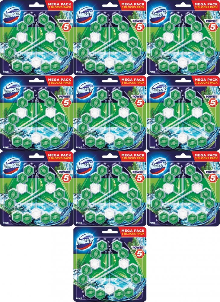 10x Zawieszka do WC Domestos Power 5, pine, 3x55g