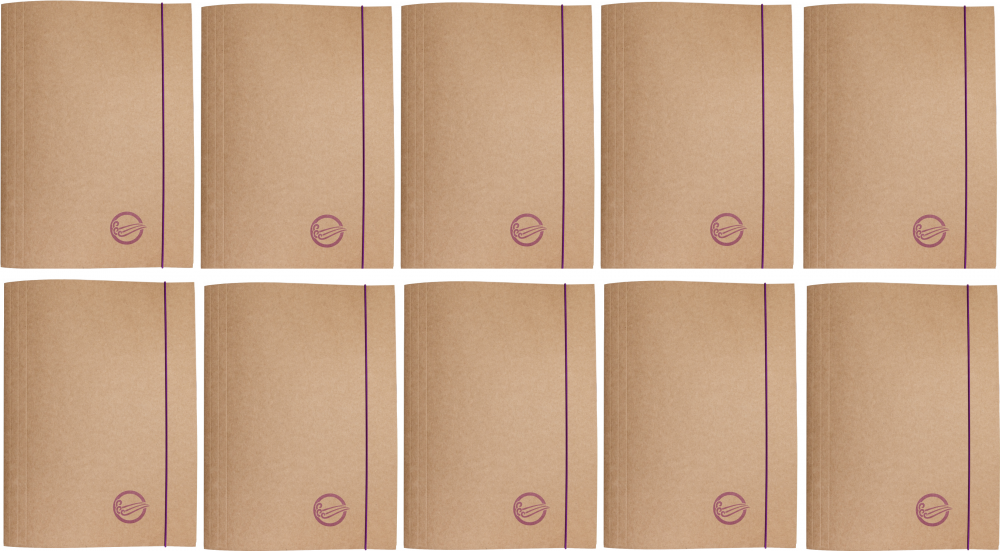 10x Teczka kartonowa z gumką Barbara Eco, A4+, 300g, powietrze