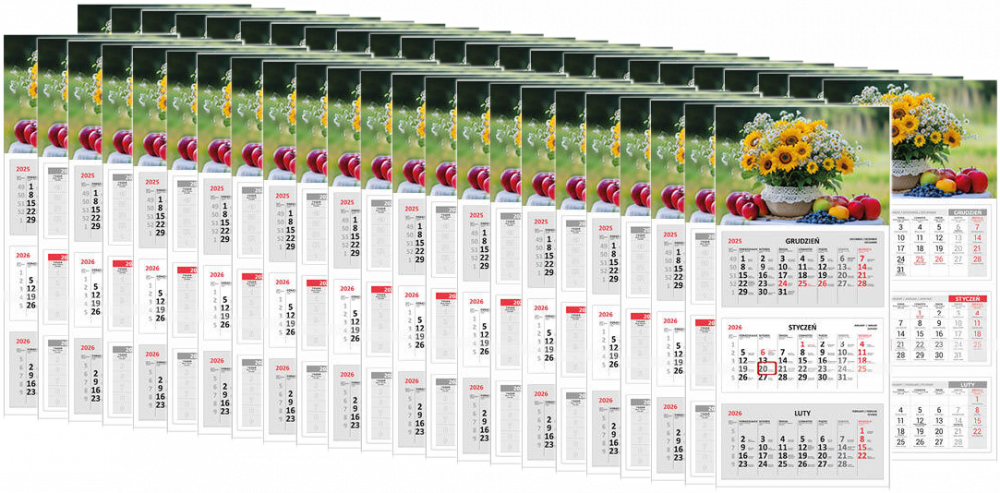 40x Kalendarz ścienny 2026, Udziałowiec, trójdzielny, 310x680mm, kwiaty