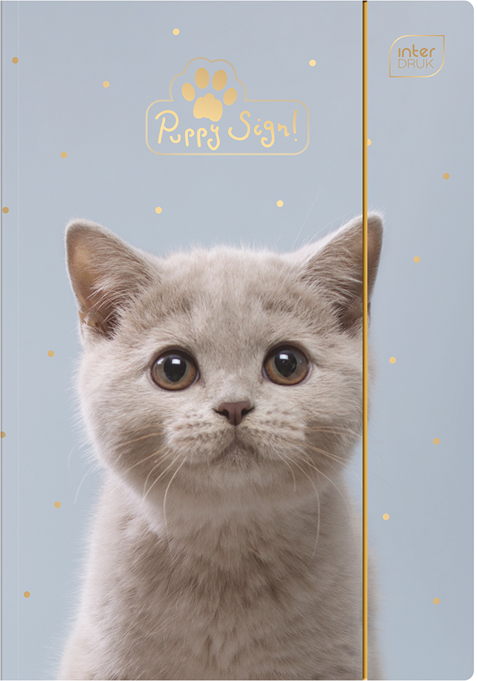 Teczka kartonowa z gumką Interdruk UV Puppy Sign, A4+, 350g/m2, mix wzorów