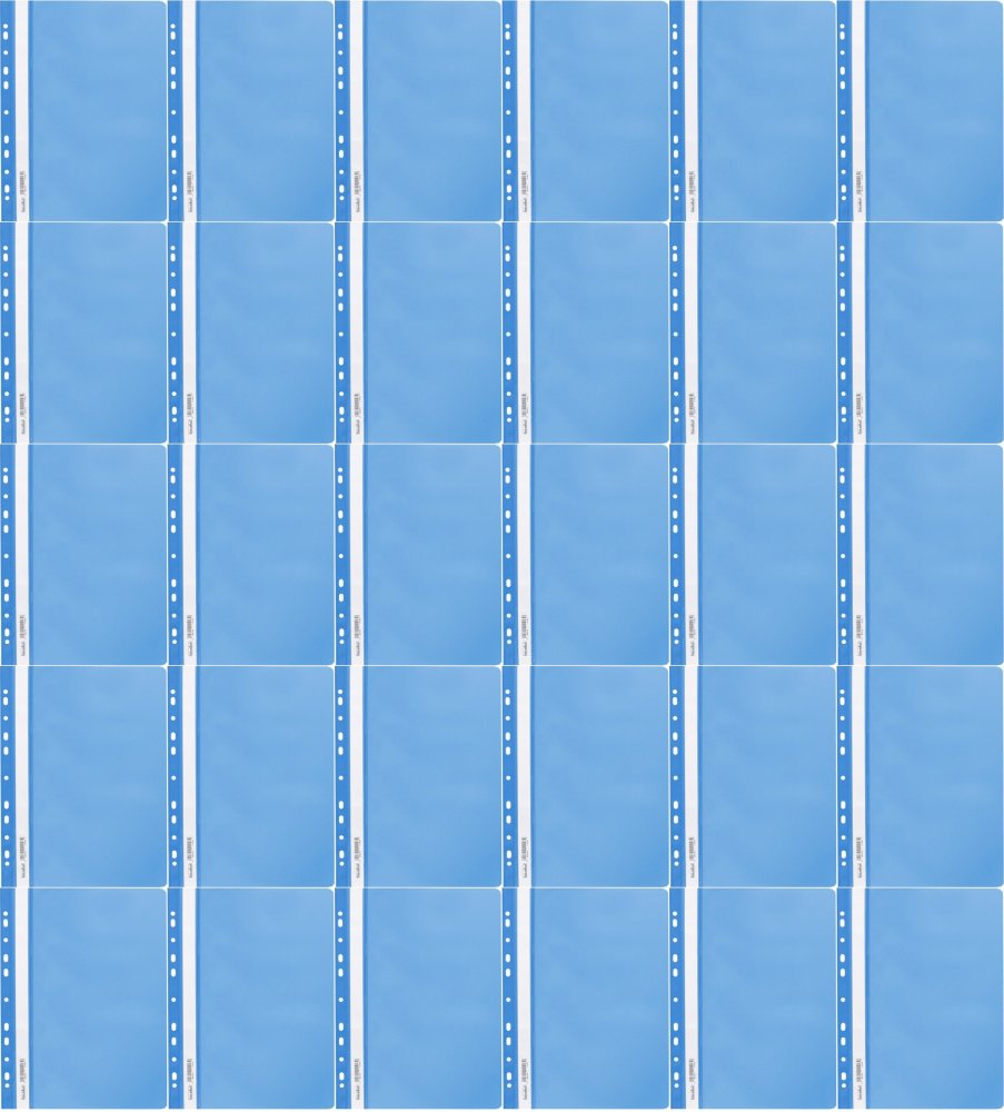 260x Skoroszyt plastikowy oczkowy Biurfol, miękki, A4, niebieski