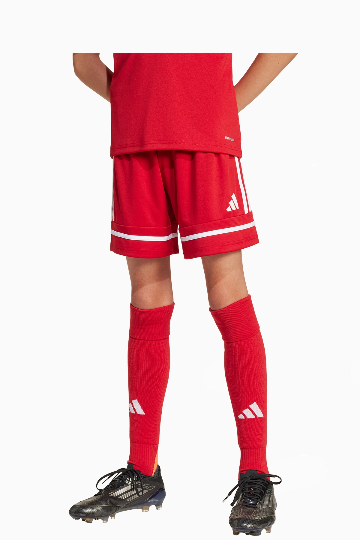 Spodenki adidas Parasol Wrocław 25/26 Junior - Czerwony