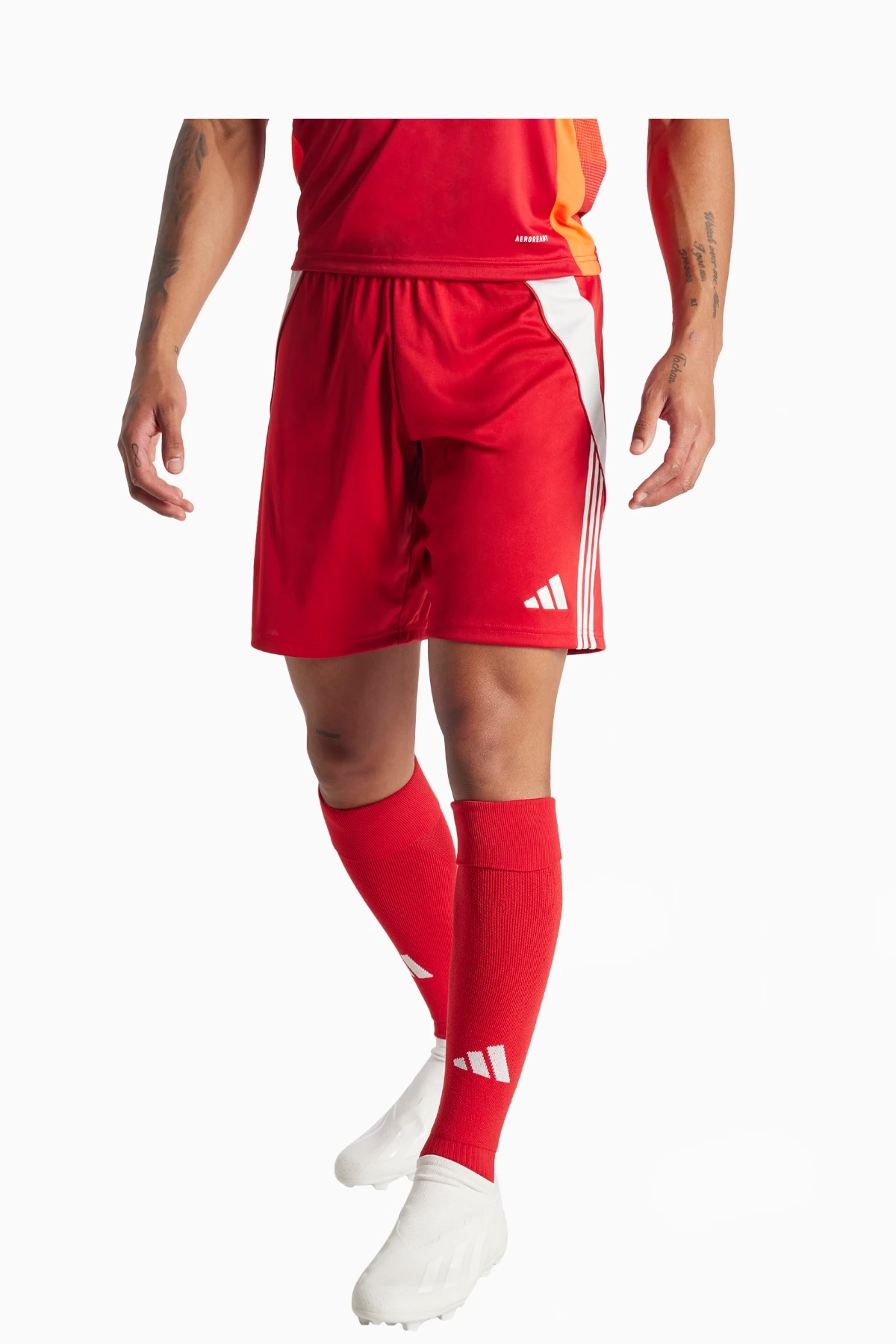 Spodenki adidas Tiro 24 Training - Czerwony