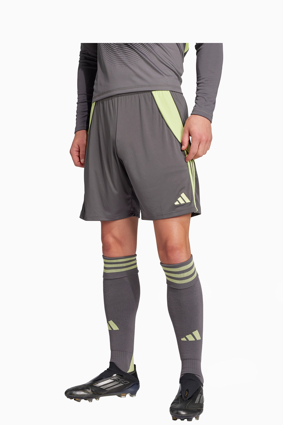 Spodenki adidas Tiro 24 Training - Szary