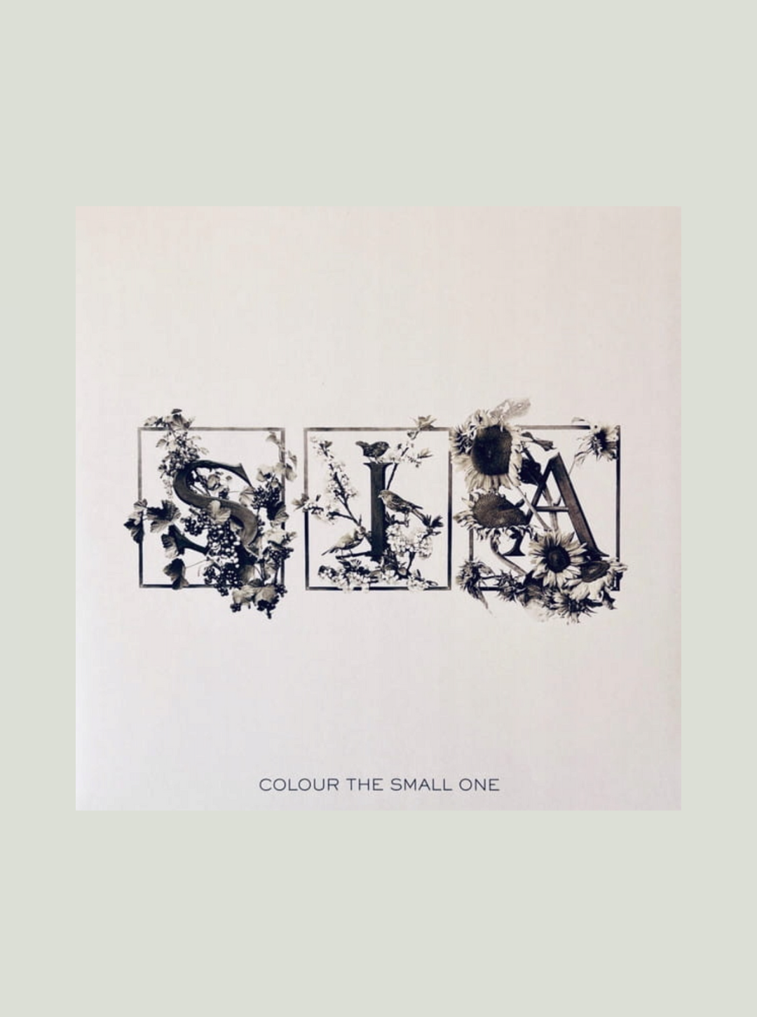 Płyta Winylowa Sia - Colour The Small One (RSD) (White & Transparent Vinyl)