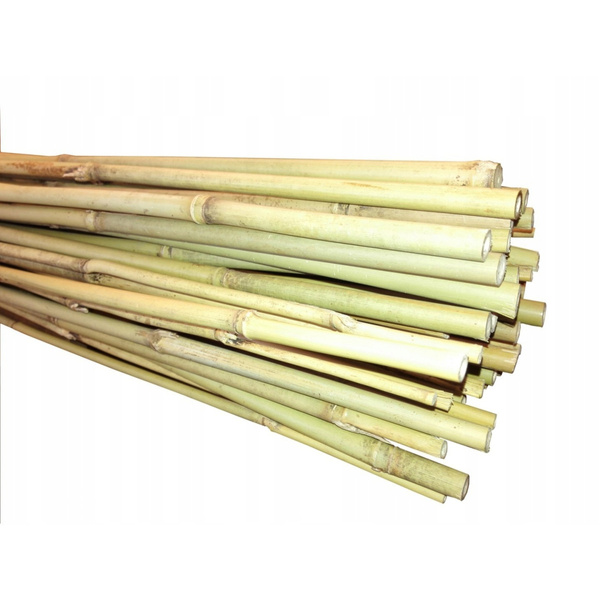 Tyczka bambusowa podpora do roślin 1,2m 12/14mm