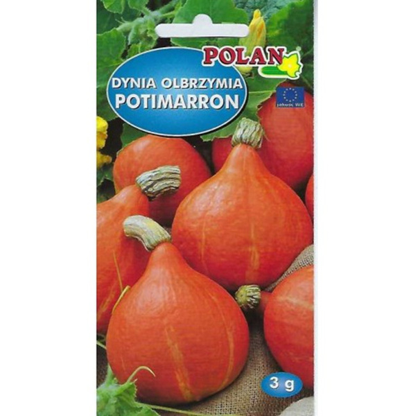 Nasiona Dynia Olbrzymia Potimarron 3g