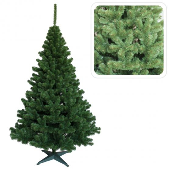 Choinka Jodła 220 cm