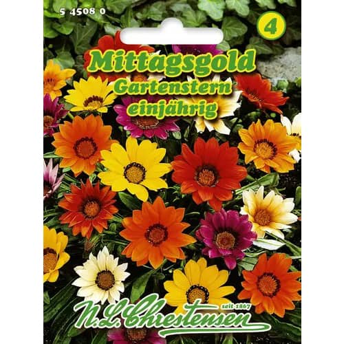 1 ob, Gazánie zářivá Gartenstern, směs - : Monžstvo balíkov: 1 ob