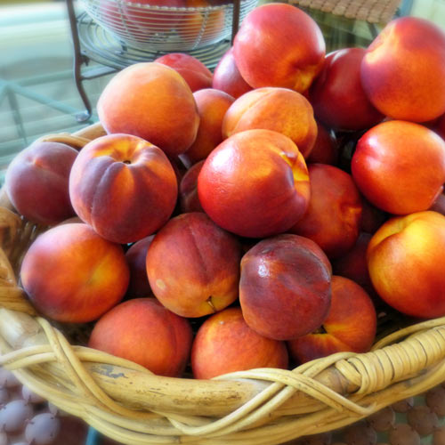 1 saz, Nekrarinka Orion - : Monžstvo balíkov: 1 saz