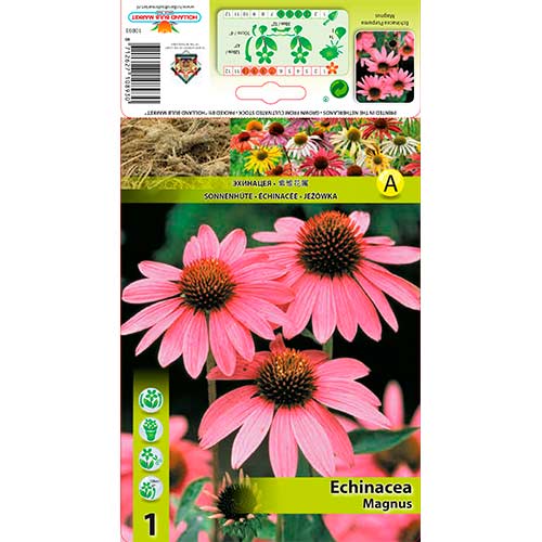 1 cib, Třapatka (Echinacea) Magnus - : Monžstvo balíkov: 1 cib
