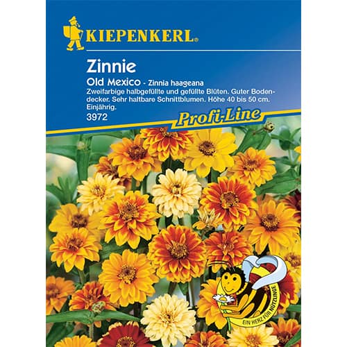 1 szt, Rézvirág Old Mexico - Magok: Mod de ambalare: 1 db