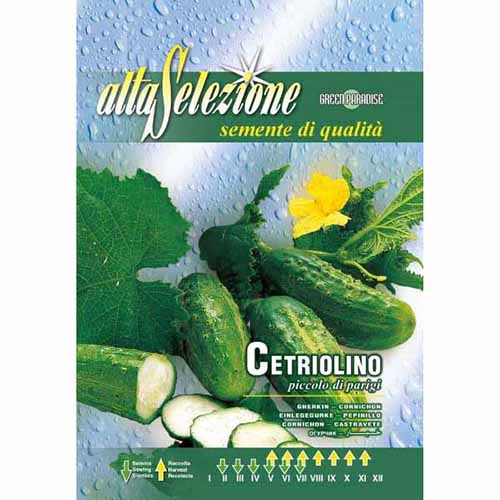 1 szt, Uborka Piccolo di Parigi - Magok: Mod de ambalare: 1 db