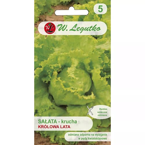 1 szt, Fejessaláta Krolowa Lata - Magok: Mod de ambalare: 0.5 g