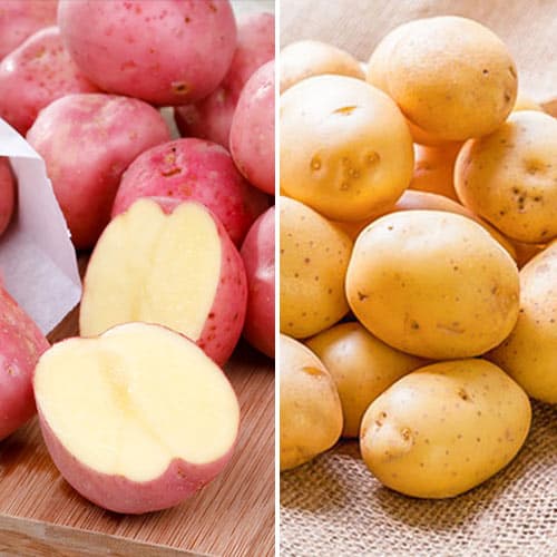 2 kg, Hihetetlen ajánlat! Vetőburgonya Diéta, 2 fajtából álló készletű - Gumók: Mod de ambalare: 2 kg