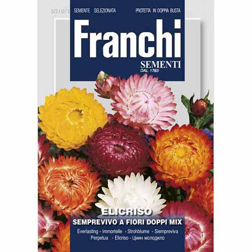 1 szt, Szalmarózsa, dupla virágú, mix - Magok: Mod de ambalare: 1 db