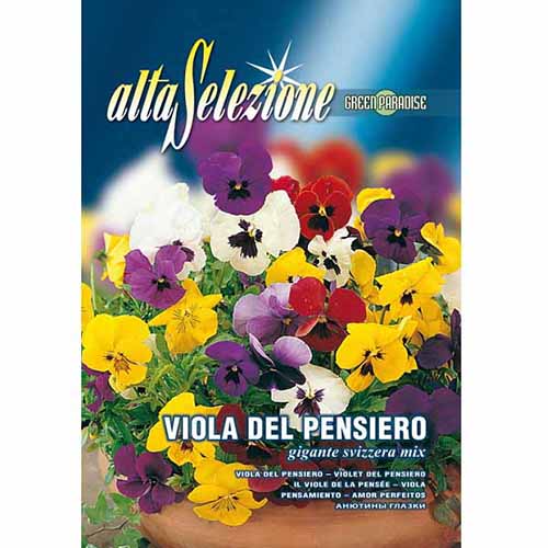 1 szt, Árvácskák Swiss Giant, mix - Magok: Mod de ambalare: 1 db