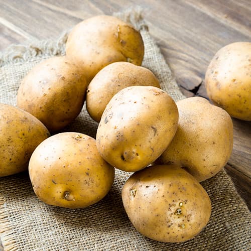 1 kg, Vetőburgonya Primabelle - Gumók: Mod de ambalare: 1 kg