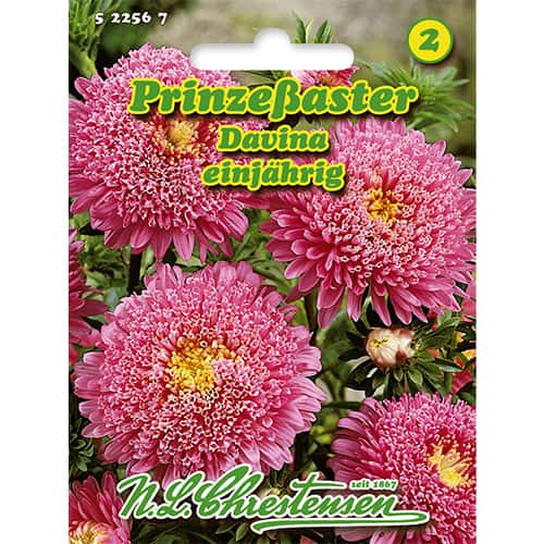 1 szt, Kerti őszirózsa Princess Davina - Magok: Mod de ambalare: 1 db