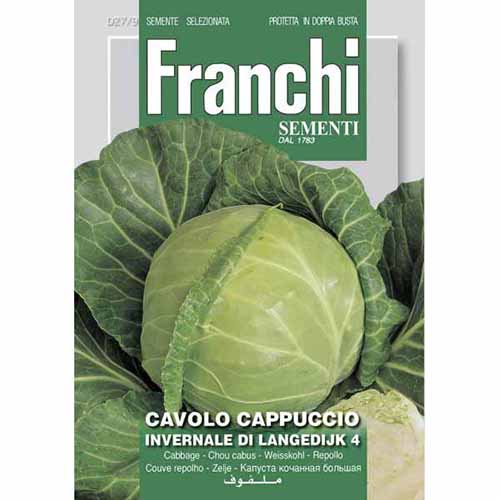 1 szt, Fejes káposzta fehér Invernale di Langedijk 4 - Magok: Mod de ambalare: 1 db