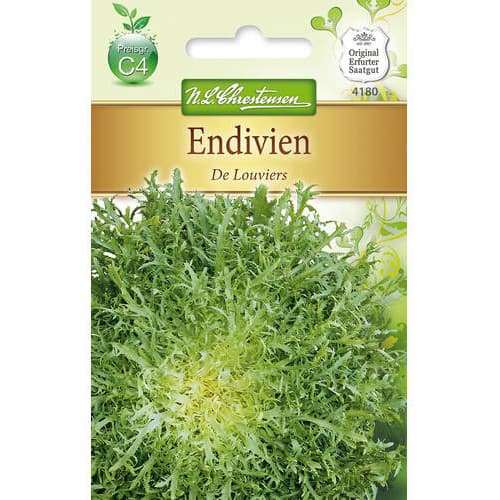 1 szt, Endívia De Louviers - Magok: Mod de ambalare: 1 db