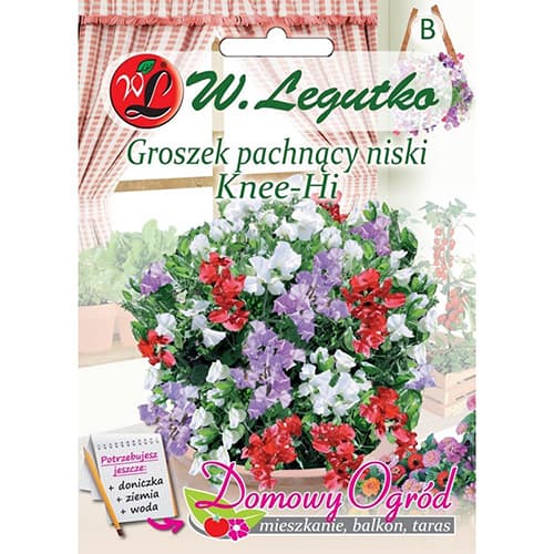 1 szt, Edelwicken Knee - Hi - Samen: Ilość w opakowaniu: 5 g