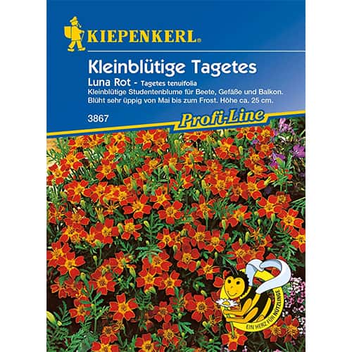 1 szt, Tagetes Luna Rot - Samen: Ilość w opakowaniu: 1 Stück