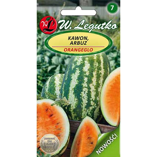 1 szt, Wassermelone Orangeglo - Samen: Ilość w opakowaniu: 1 g