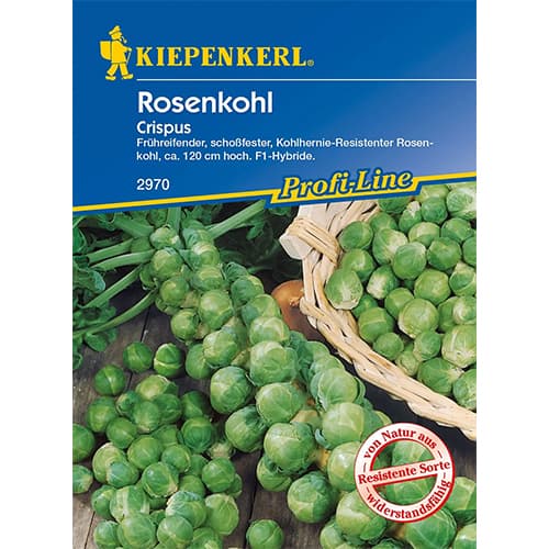 1 szt, Rosenkohl Crispus F1 - Samen: Ilość w opakowaniu: 1 Stück