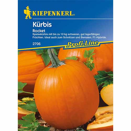 1 szt, Kürbis Rocket F1 - Samen: Ilość w opakowaniu: 1 Stück