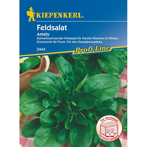 1 szt, Feldsalat Amely - Samen: Ilość w opakowaniu: 1 Stück