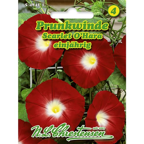 1 szt, Prunkwinde Scarlet O`Hara - Samen: Ilość w opakowaniu: 1 Stück