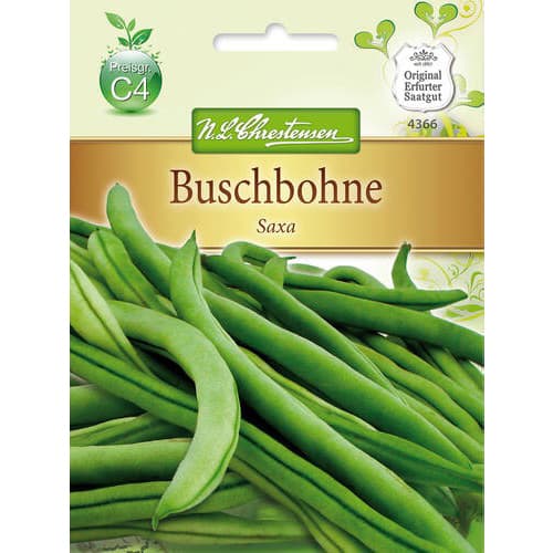 1 szt, Buschbohne Saxa - Samen: Ilość w opakowaniu: 1 Stück