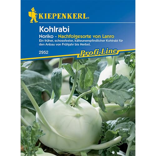 1 szt, Kohlrabi Noriko - Samen: Ilość w opakowaniu: 1 Stück