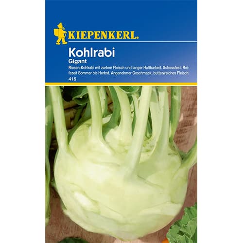1 szt, Kohlrabi Gigant Kiepenkerl - Samen: Ilość w opakowaniu: 1 Stück